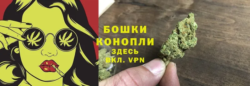 Конопля White Widow  Лобня 